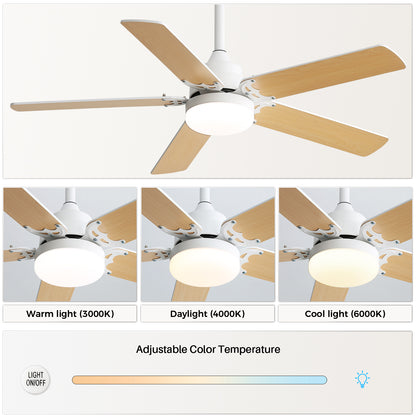 Low Profile 42 Inch Ceiling Fan 5 Blades Noiseless Reversible Dc Motor Remote Control With Led Light