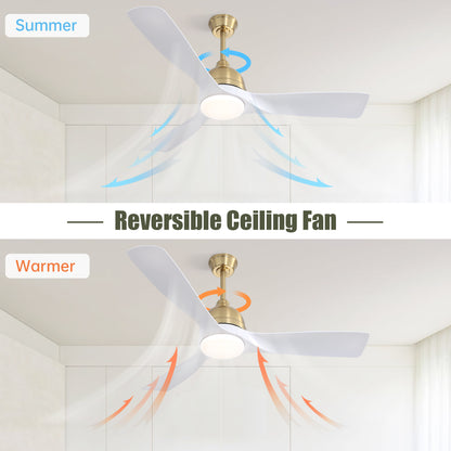 54 Inch White/Gold ABS Ceiling Fan